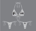 Zebra Print Bikini
